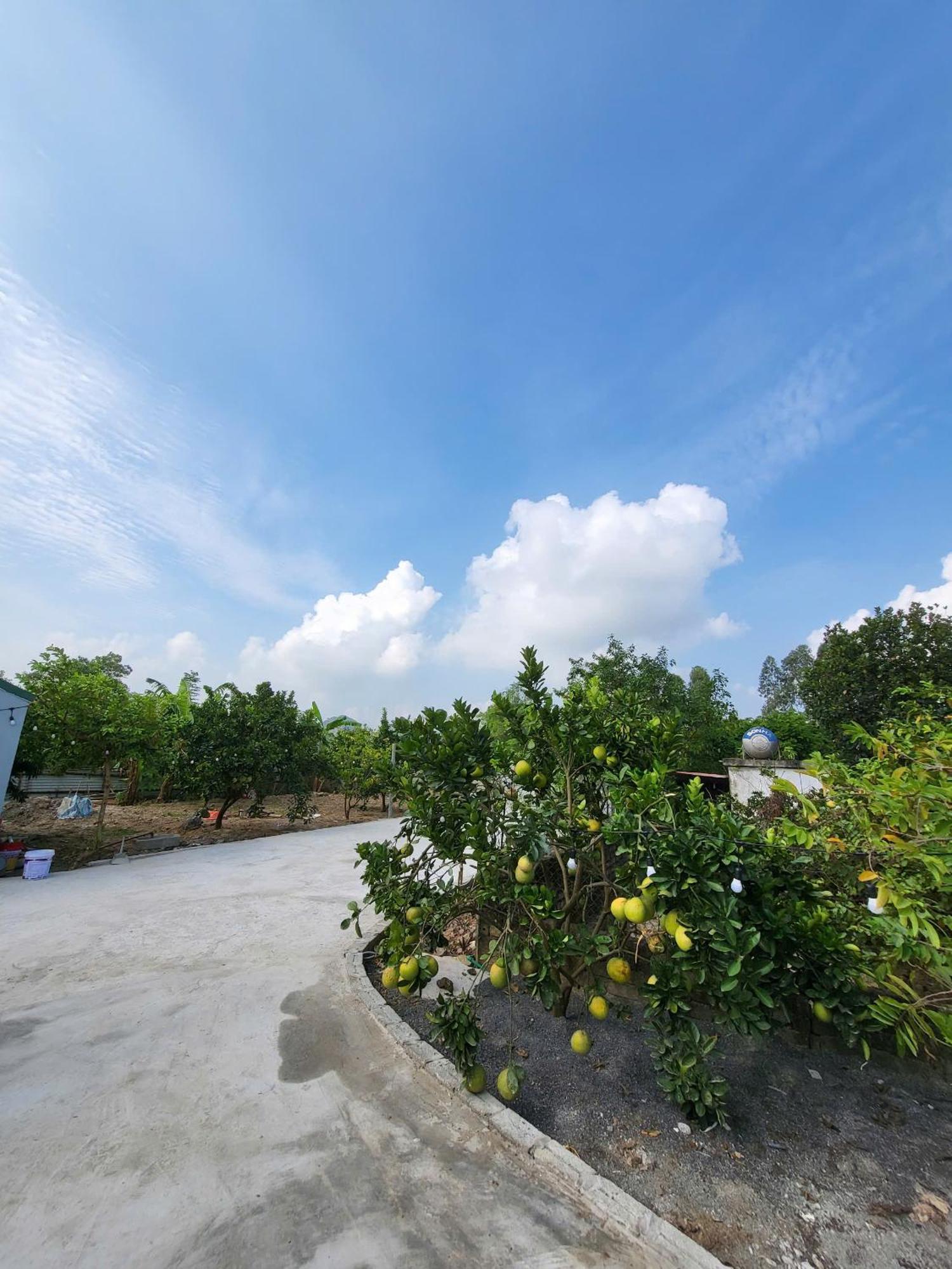 Ferienwohnung Tam Coc Pomelo Garden Ninh Binh Exterior foto