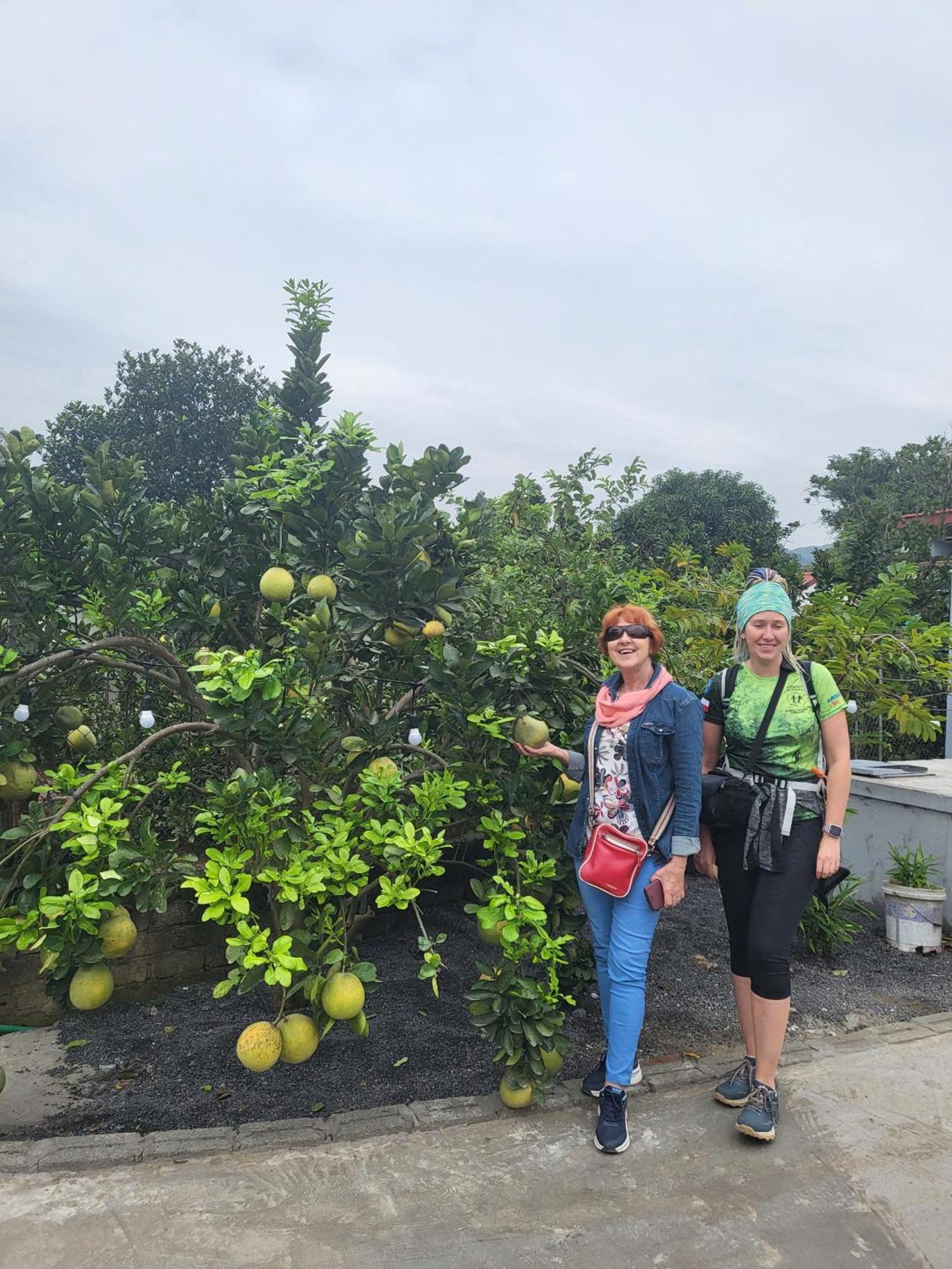 Ferienwohnung Tam Coc Pomelo Garden Ninh Binh Exterior foto