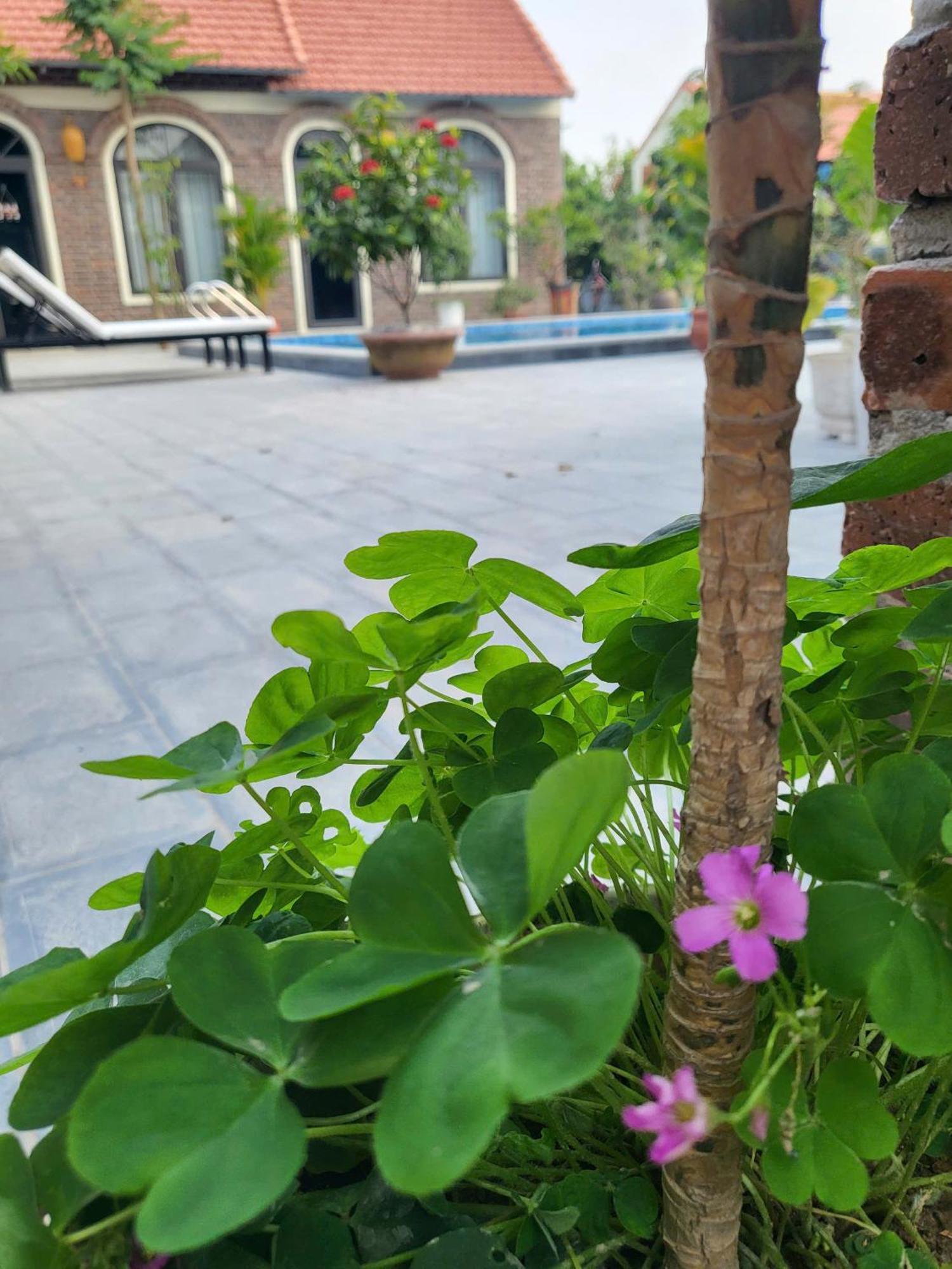 Ferienwohnung Tam Coc Pomelo Garden Ninh Binh Exterior foto
