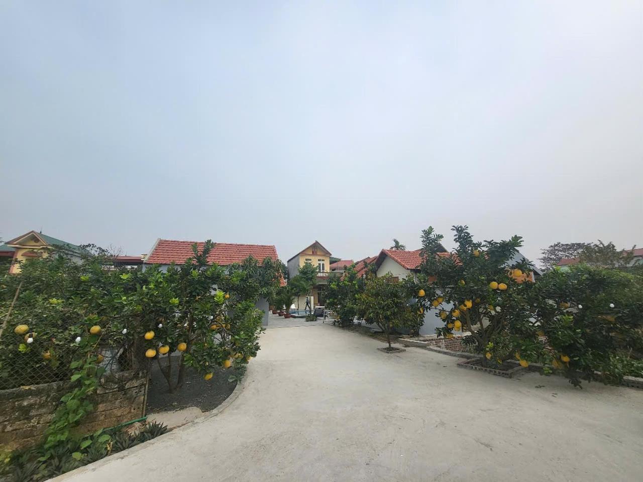 Ferienwohnung Tam Coc Pomelo Garden Ninh Binh Exterior foto